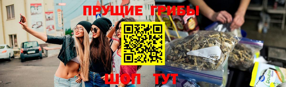 Галлюциногенные грибы ЛСД Кропоткин